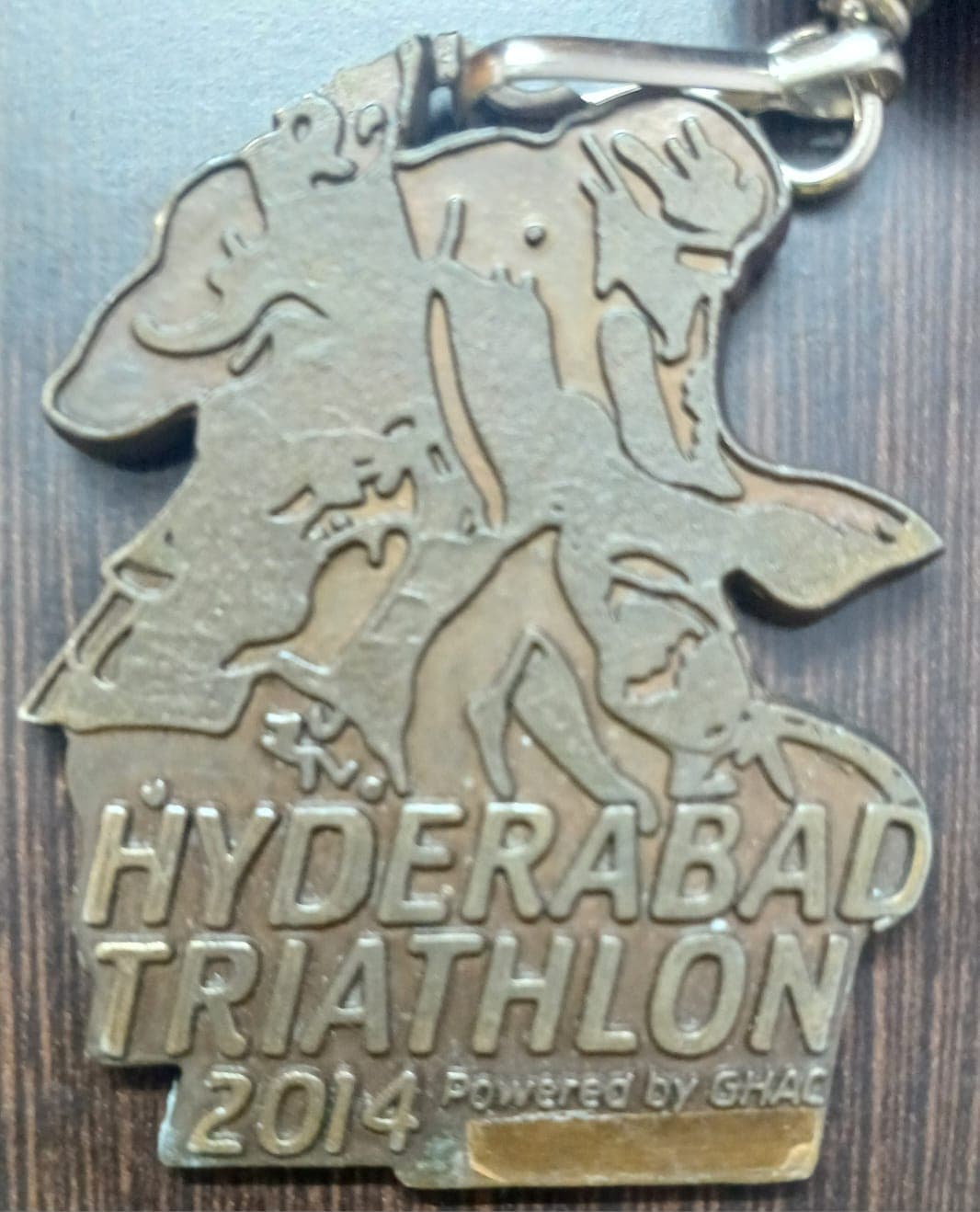 Hyderabad Triathlon 2014 finisher medal close-up