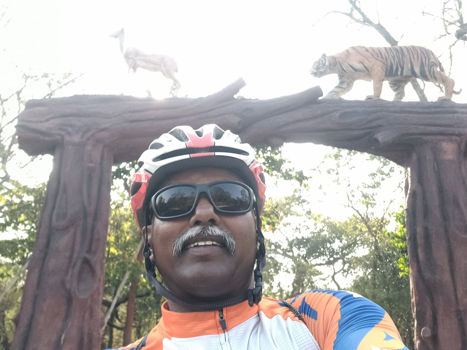 Bobba Ravinder Reddy taking a selfie beneath a wildlife-themed wooden arch with tiger and deer statues